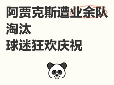 乐动体育全站-阿贾克斯惊险胜出，晋级困难