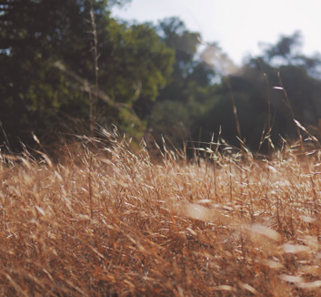 爱游戏体育在线登录-姚明向库兹马极力推荐杨瀚森：他很聪明天赋上佳 传球&视野很棒