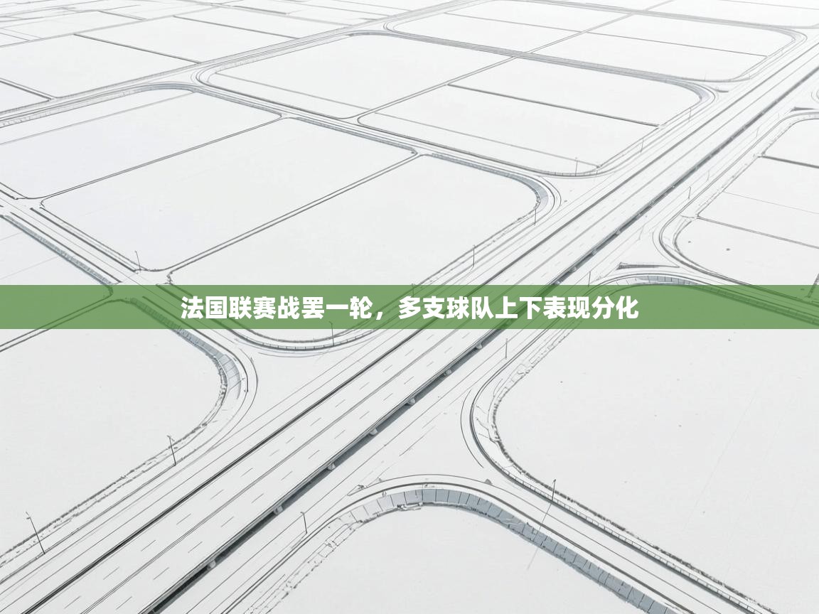 爱游戏体育入口app-法国联赛战罢一轮，多支球队上下表现分化  第1张