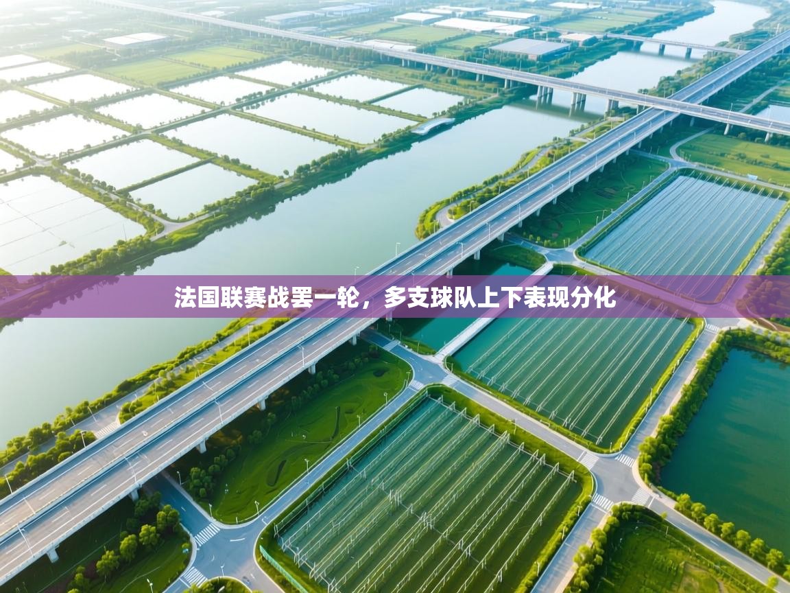 爱游戏体育入口app-法国联赛战罢一轮，多支球队上下表现分化  第3张