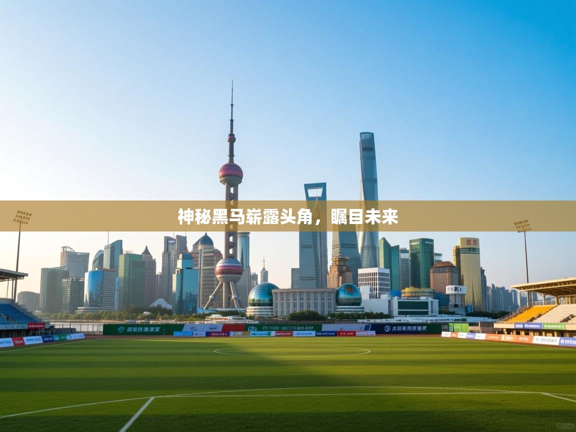 爱游戏在线官网-神秘黑马崭露头角,瞩目未来 第1张