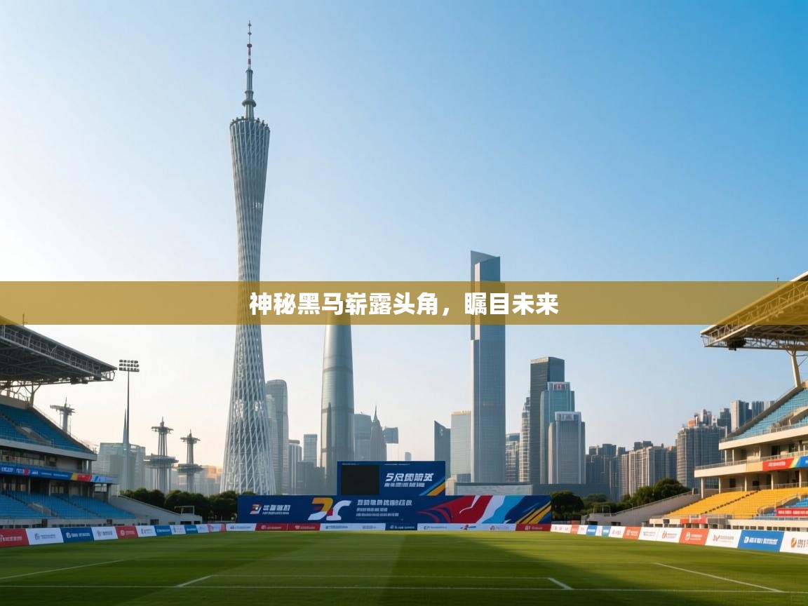 爱游戏在线官网-神秘黑马崭露头角,瞩目未来 第2张