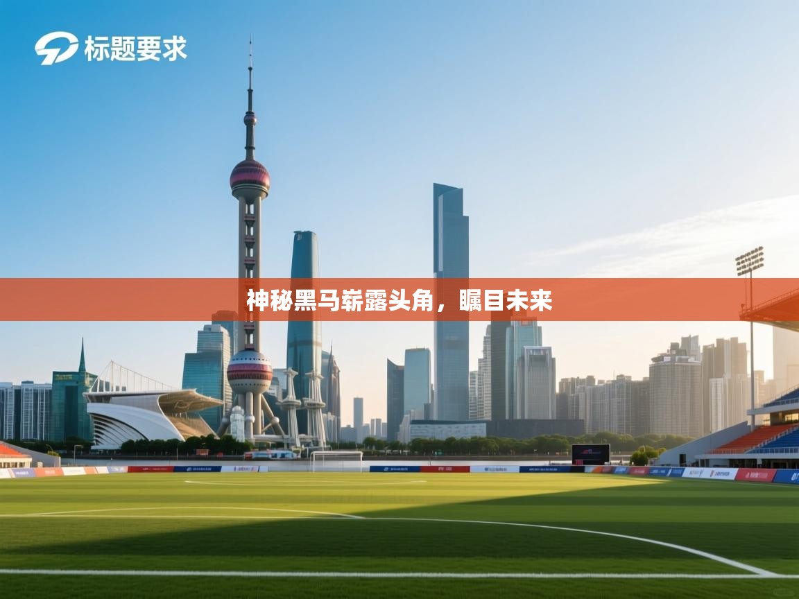 爱游戏在线官网-神秘黑马崭露头角,瞩目未来 第3张