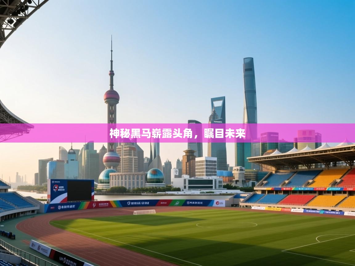 爱游戏在线官网-神秘黑马崭露头角,瞩目未来 第4张