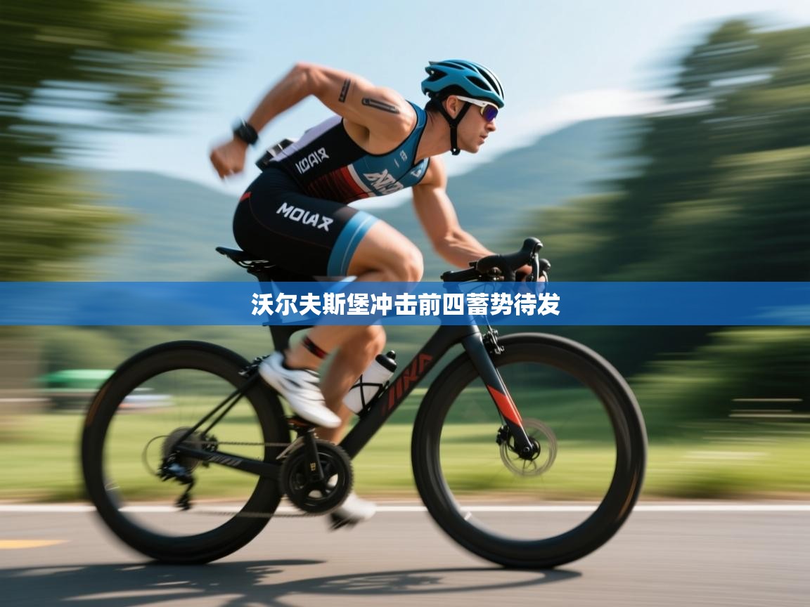 爱游戏体育app-沃尔夫斯堡冲击前四蓄势待发