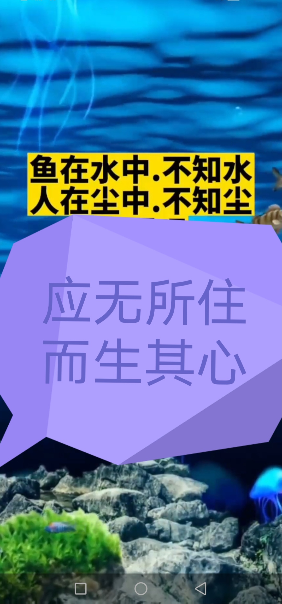 火蛇临风扶摇直下，临江不可泡茶的简单介绍